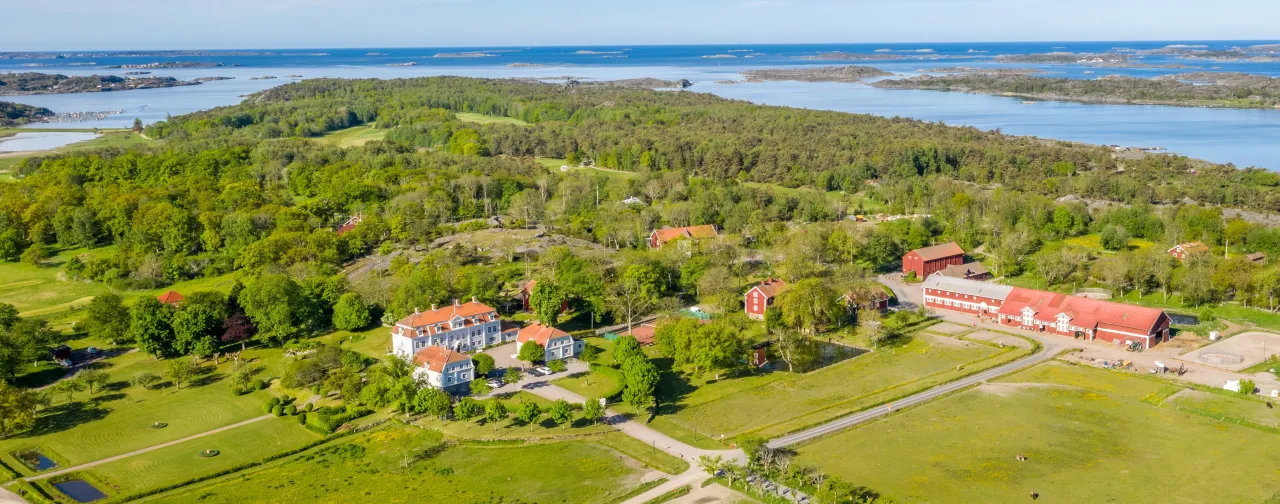 drönarbild gård, skog, hav, betesmark