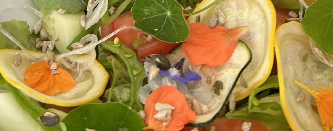 sommarsallad