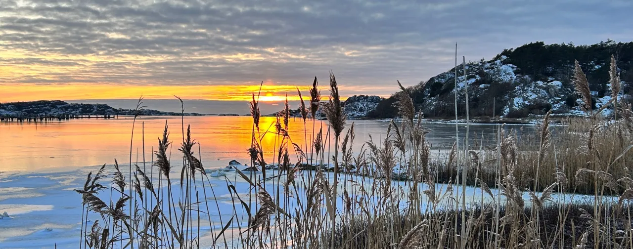 VASS, VINTERHAV, SOLNEDGÅNG