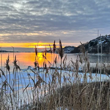 VASS, VINTERHAV, SOLNEDGÅNG