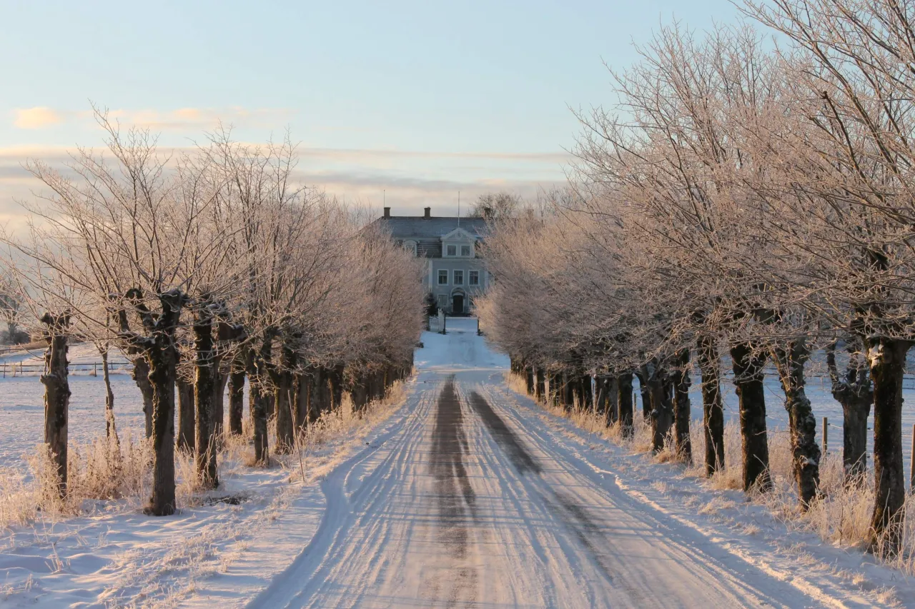 Alle med frostbitna träd, herrgårdsbyggnad