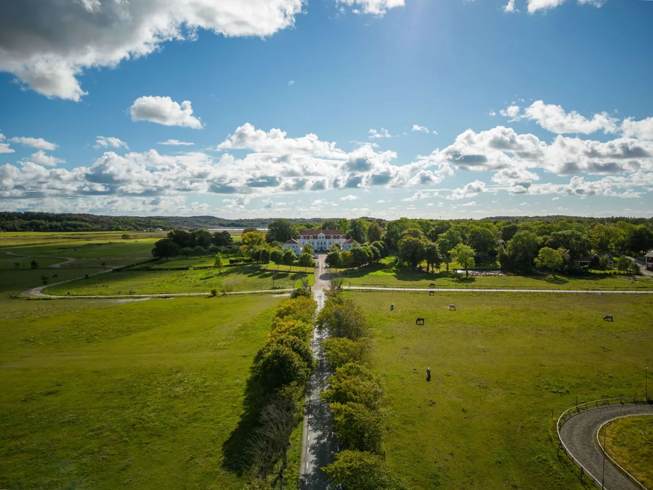 drönarbild, allé upp mot vit herrgårdsbyggnad, blå himmel med vita moln