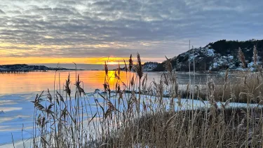 VASS, VINTERHAV, SOLNEDGÅNG