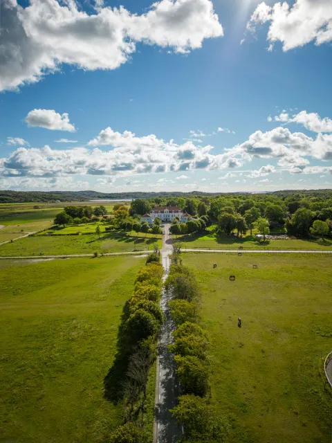drönarbild allé mot vit herrgårdsbyggnad