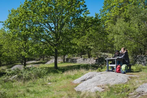 par fikar vid bord i skogsmiljö