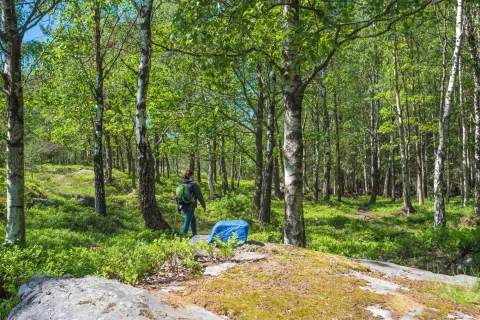 person med ryggsäck vandrar i skog