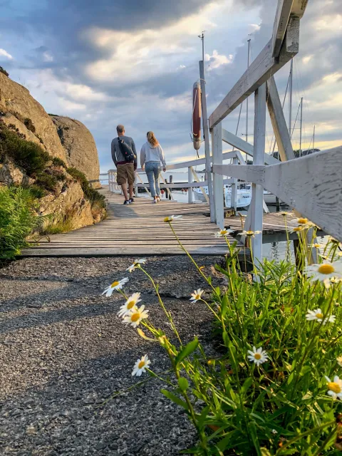 två personer promenerar på träbrygga, prästkrager kantar vägen