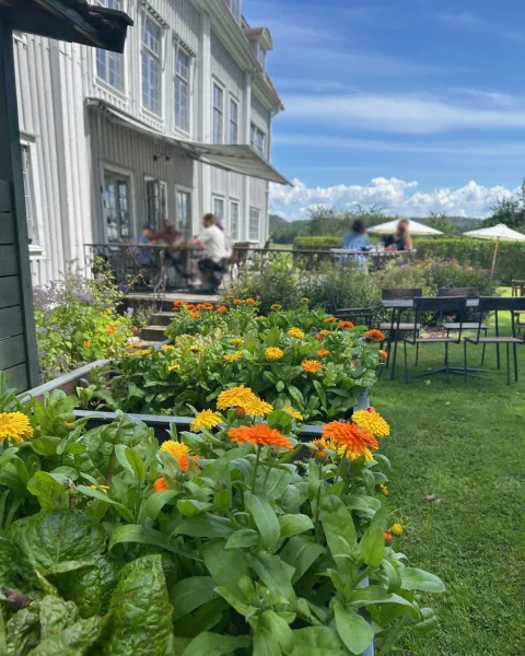 blommor i pallkragor, personer på altan