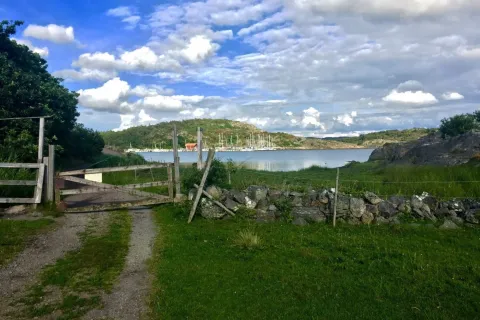 gärdsgård, grind, utsikt mot båthamn