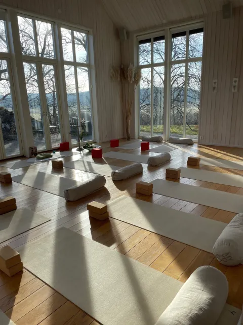 yogamattor, yogablock