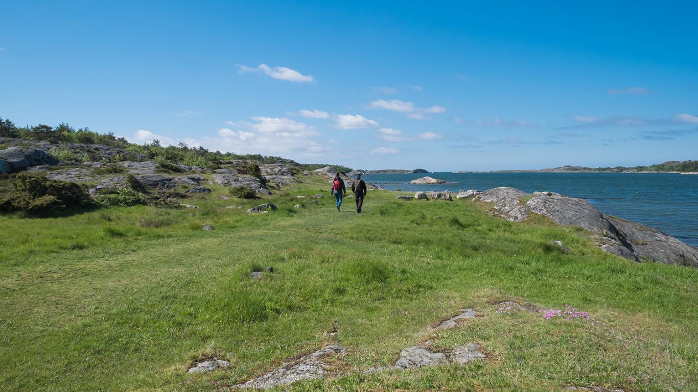 Hiking trail in Tofta Nature Reserve - Bohuslän